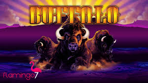buffalo slot